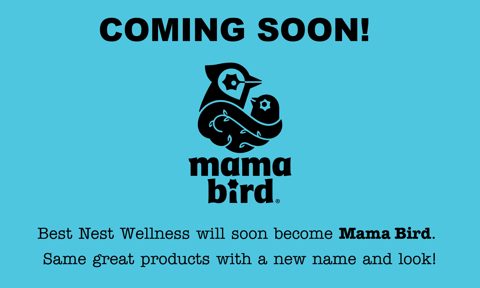 Mama Bird Vegan Prenatal DHA